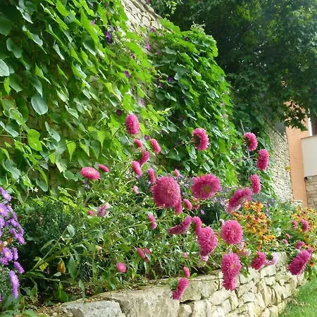 Milan Istra Apartament *